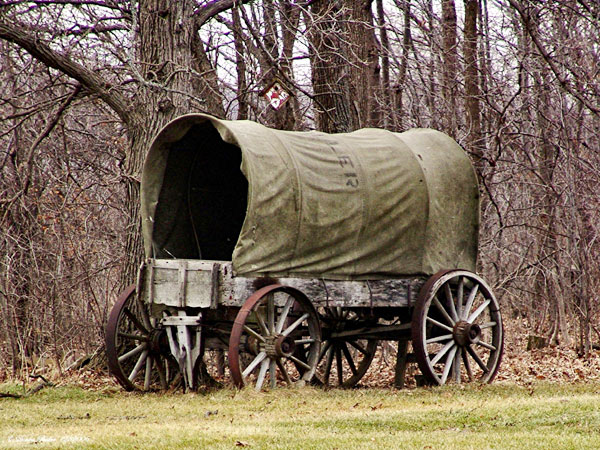 Click here for Magnification