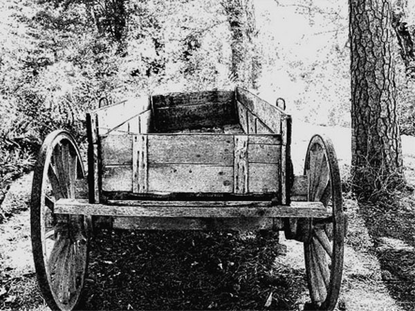 Click here for Magnification