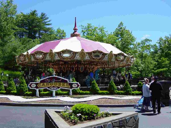 Click here for Magnification