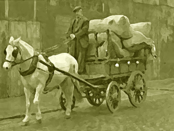 Click here for Magnification